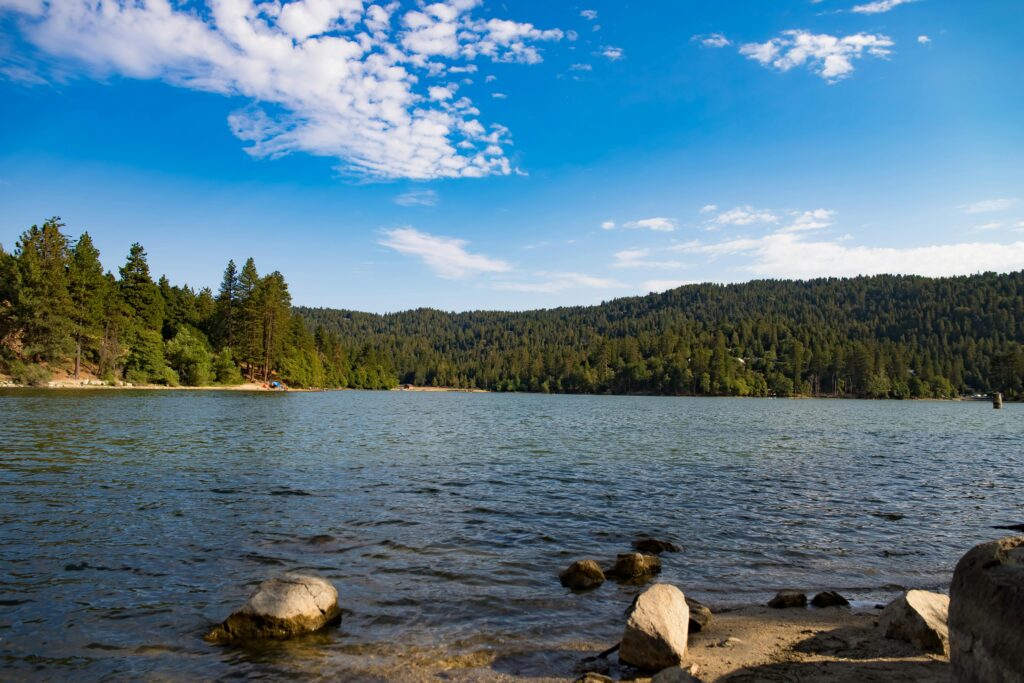 Image of a lake with trees in the background